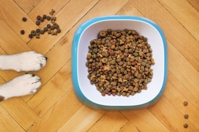 Comida Premium Perros