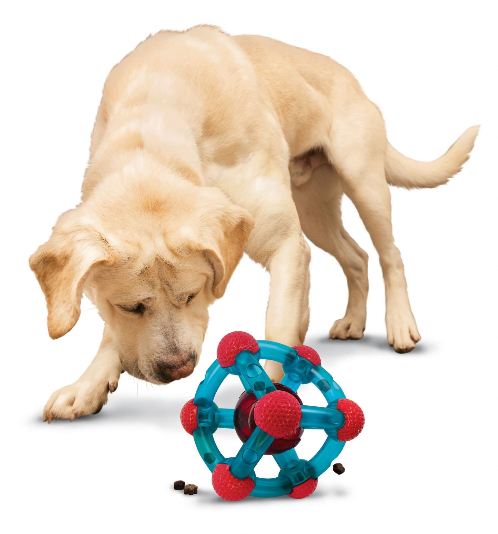 Juguetes para Perros