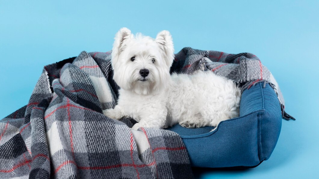 Cama para Mascotas